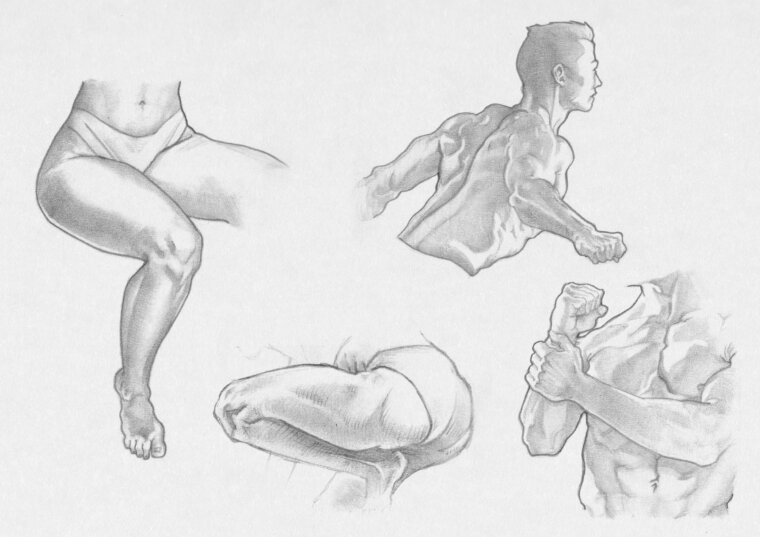 Bocetos de anatomía de mujer y hombre