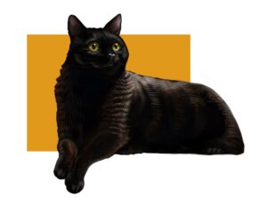 Pintura digital de un gato negro sobre un recuadro amarillo
